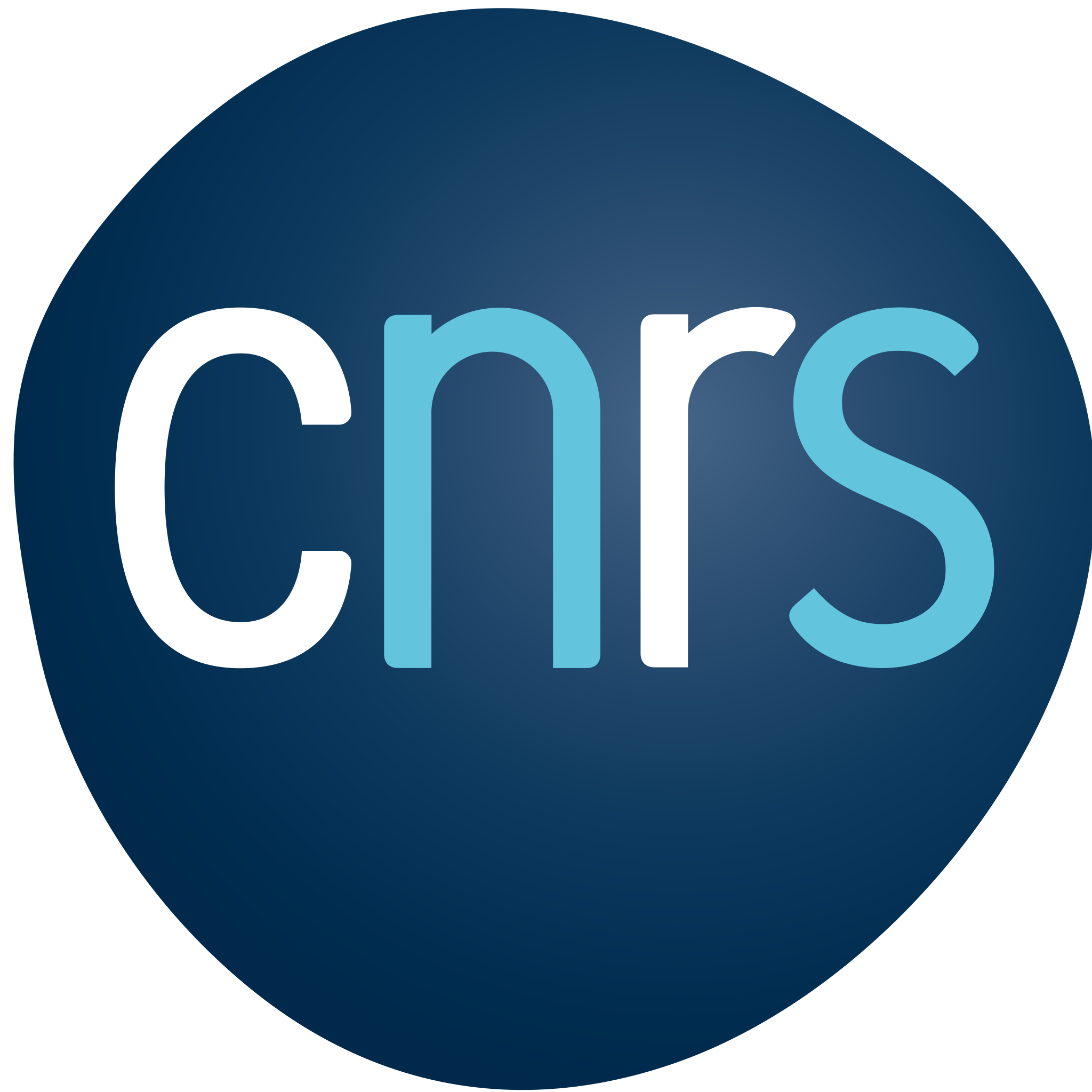 Logo du CNRS - Centre national de la recherche scientifique