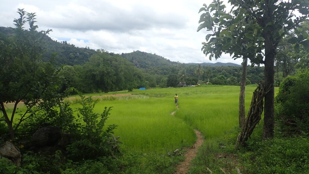 Vue générale d'une ferme dans les Jawadhu Hills