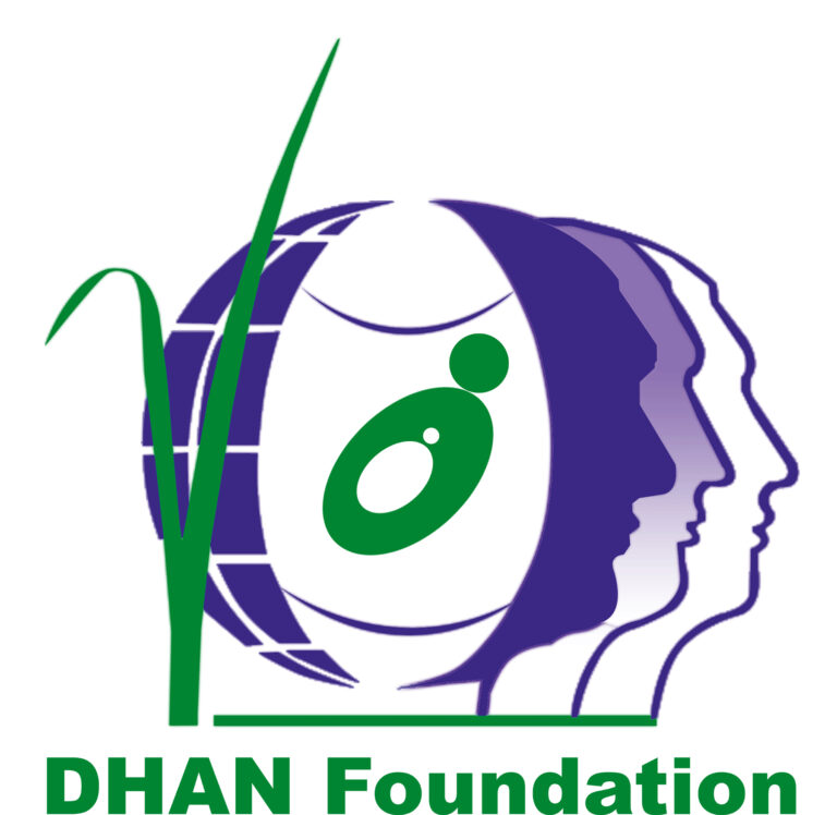 Logo de Dhan Foundation