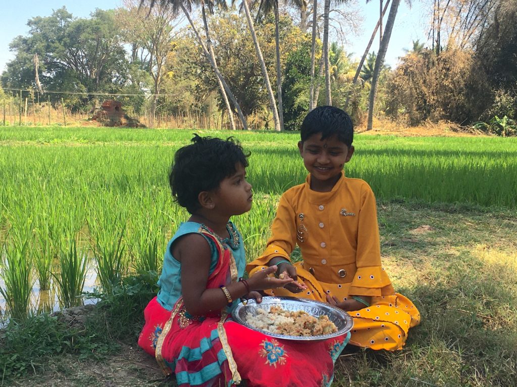 Degustation de millet dans les Jawadhu Hills PATAMIL